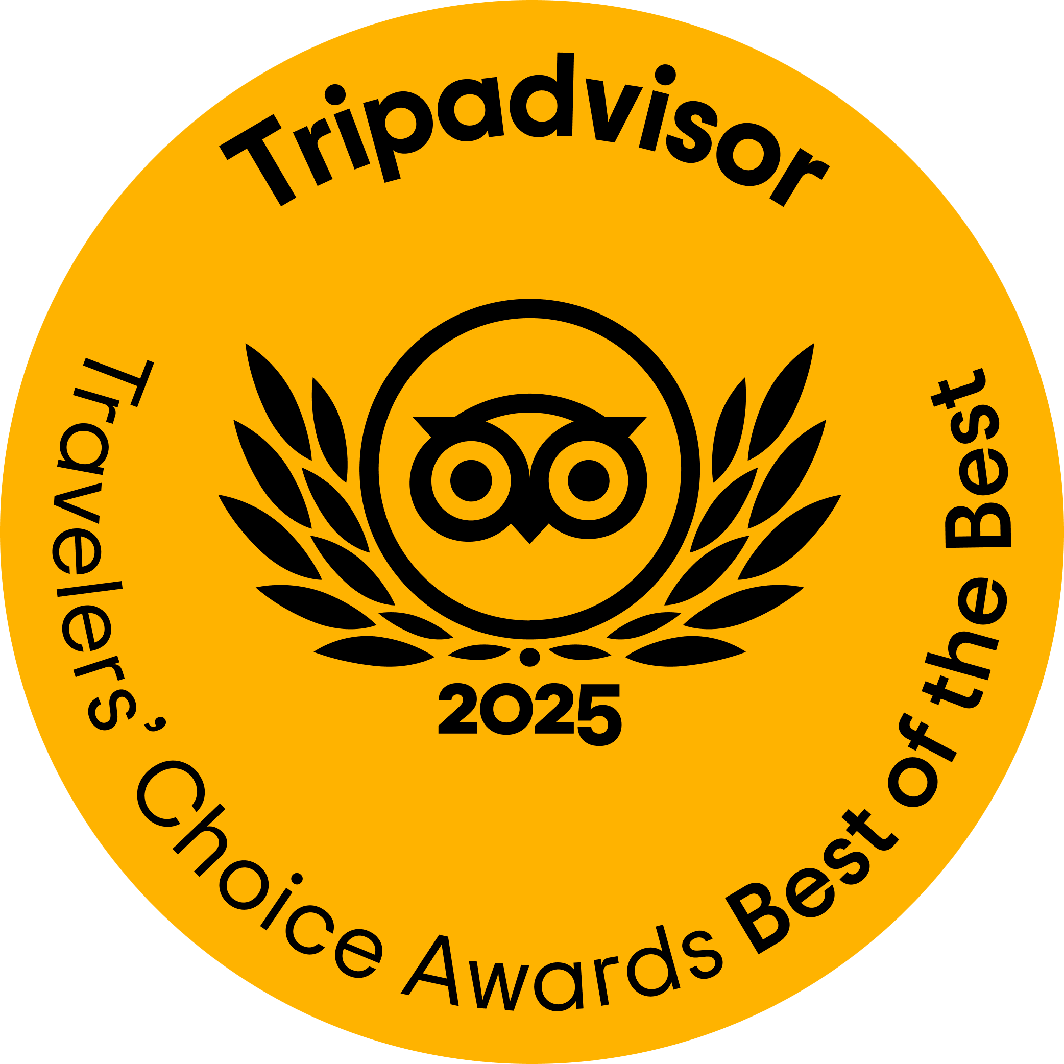 TripAdvisor Logo