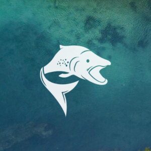 Trout Bariloche Logo Wsp