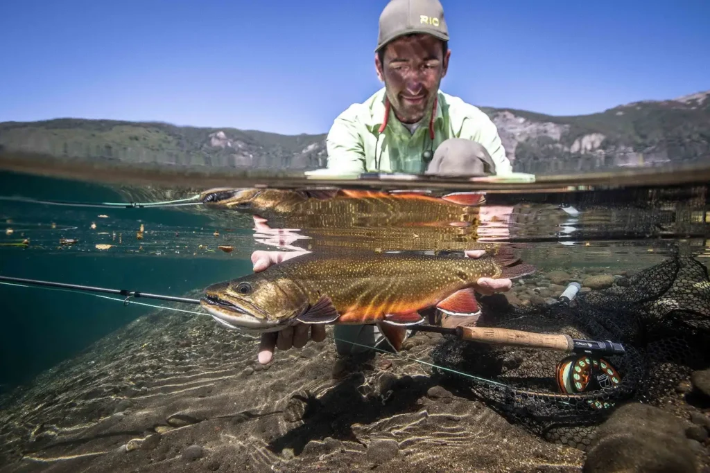 nueva portada home 1