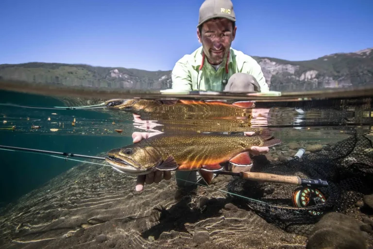 nueva portada home 1